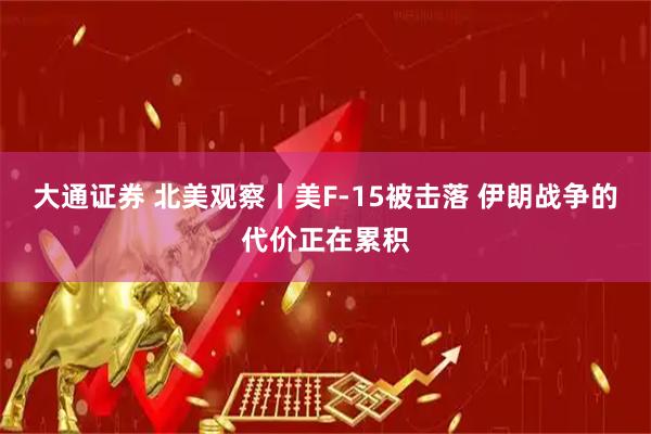 大通证券 北美观察丨美F-15被击落 伊朗战争的代价正在累积