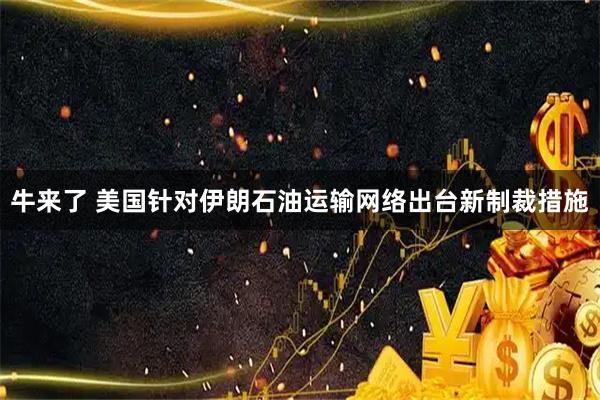 牛来了 美国针对伊朗石油运输网络出台新制裁措施